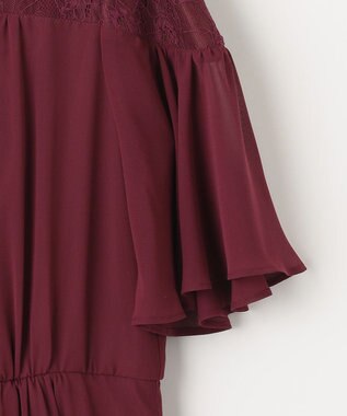 自由区 【WEB限定】シフォンレースコンビネーション ドレス ワイン系