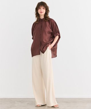 BEIGE， 【洗える】AMARYLLIS / シアーパフオーバーサイズブラウス Brown