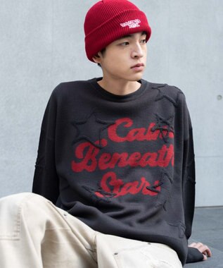 WEGO 【ユニセックス着用ITEM】パイルジャガードプルオーバー