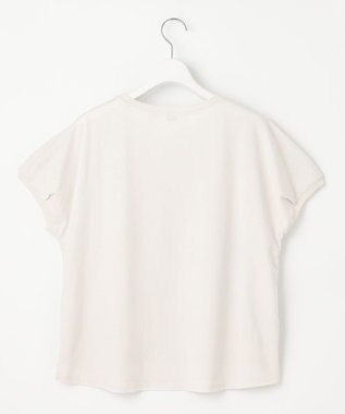 J.PRESS LADIES 【洗える】シアーエンブロイダリー カットソー グレージュ系