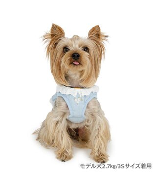 PET PARADISE ペットパラダイス 花刺繍 ベスト ハーネス ４Ｓ/３Ｓ 小型犬 ライトブルー
