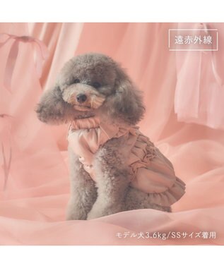 PET PARADISE cherircouture リボン ギャザーベスト 《ピンク》 小型犬 ピンク