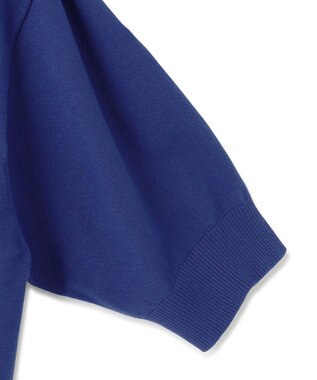 23区 S 【洗える】ヴィスコースストレッチ 半袖 ニット ブルー系