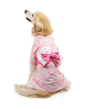 PET PARADISE ペットパラダイス 絞り風 浴衣 《朝顔》 中型犬 大型犬 朝顔