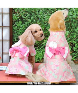 PET PARADISE ペットパラダイス 絞り風 浴衣 《朝顔》 中型犬 大型犬 朝顔