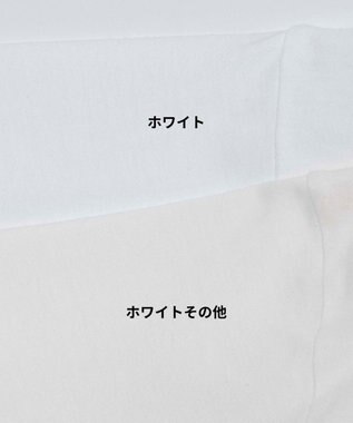 WEGO 【ユニセックス着用ITEM/綿100％/SMLXLサイズ】ビックコットンT ホワイトその他