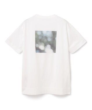 BEIGE， ARMAND / Tシャツ Trees