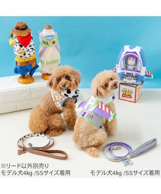 PET PARADISE ディズニー トイ・ストーリー ウッディ リード ４Ｓ～３Ｓ ブラウン