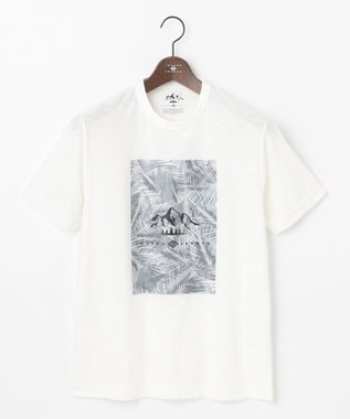 JOSEPH ABBOUD MOUNTAIN 【UNISEX】スラブリーフプリント Tシャツ ホワイト系