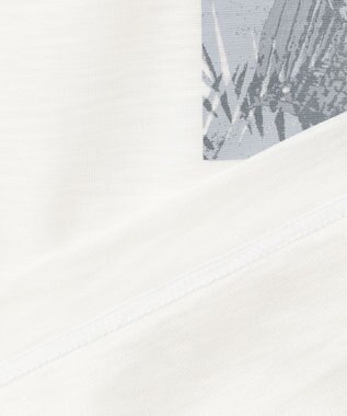 JOSEPH ABBOUD MOUNTAIN 【UNISEX】スラブリーフプリント Tシャツ ホワイト系