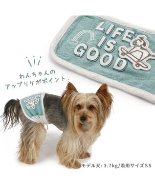 PET PARADISE 犬 服 マナーベルト マナーウエア 【小型犬】 くま柄 らくがき柄 らくがき柄