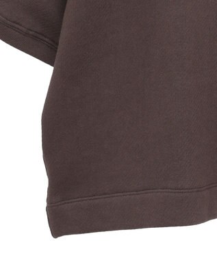 AMERICAN HOLIC アソートロゴルーズドルマンプルオーバー Brown