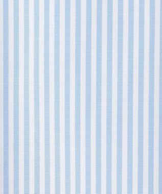 J.PRESS LADIES L 【WEB限定カラーあり】コンパクトエステネージュ スキッパー ブラウス 【WEB限定】サックスストライプ系2