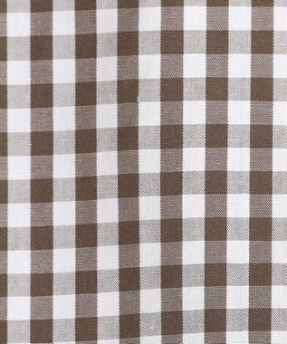 J.PRESS LADIES L 【WEB限定カラーあり】コンパクトエステネージュ スキッパー ブラウス ブラウンギンガム系