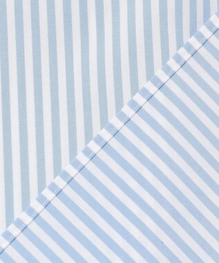 J.PRESS LADIES L 【WEB限定カラーあり】コンパクトエステネージュ スキッパー ブラウス 【WEB限定】サックスストライプ系2