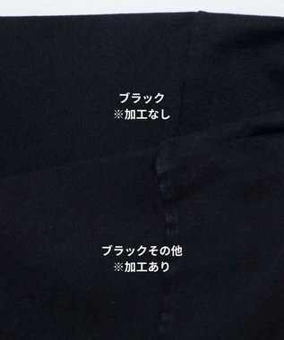 WEGO 【ユニセックス着用ITEM/綿100％/SMLXLサイズ】ビックコットンT ブラックその他