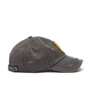 WEGO ＇47　CLEAN　UP　MLB　WELL　WORN 柄5