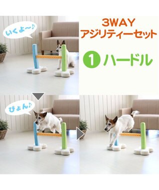 犬 トイ Toy ペットパラダイス アジリティ セット 訓練 ドッグアジリティ トレーニング Pet Paradise ファッション通販 公式通販 オンワード クローゼット