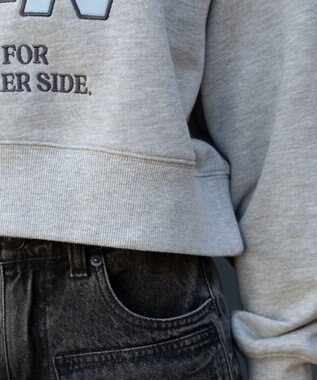 WEGO 襟付きグラフィックショートスウェット 杢グレー