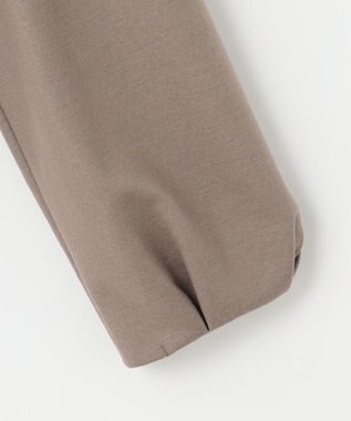 J.PRESS LADIES L 【イージーケア】ウールスムースジャージー カットソー ベージュ系