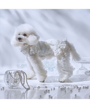 PET PARADISE cherircouture くしゅくしゅ ワンピース 小型犬 ホワイト