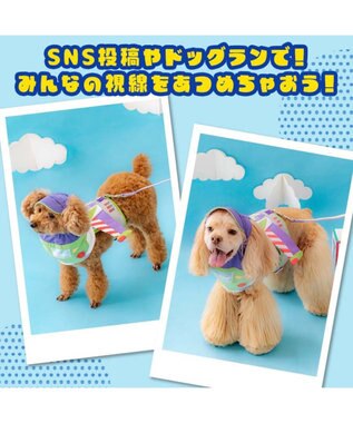 PET PARADISE ディズニー トイ・ストーリー バズ 保冷付き帽子 ＳＭ 中型犬 パープル