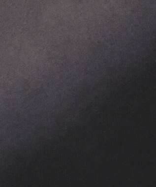 WEGO 【ユニセックス着用ITEM/MLサイズ展開】グラデーションワンポイントT（SS） ブラックその他