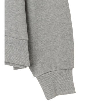 Green Parks Ｃａｒｓ／バックプリント裏毛プルオーバー Gray Mixture