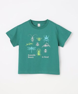 ANY KIDS 【洗濯機可能】昆虫プリント 半袖Tシャツ グリーン