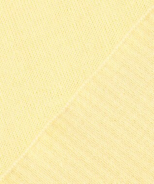 23区 S 【10色展開】ウーステッドウール 重ね襟Vネック ニット イエロー系