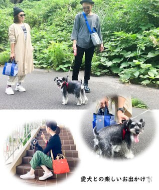 ROOTOTE 1129【BUDDY:撥水加工】SN.スクエア.ドッグ.バディ-B 01：ブラック