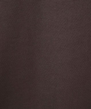 AMERICAN HOLIC アソートロゴルーズドルマンプルオーバー Brown