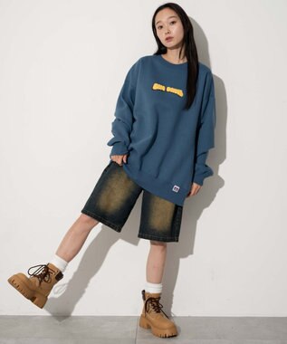 WEGO 【ユニセックス着用ITEM/MLサイズ展開/裏起毛】別注BENDAVISプランプロゴプルオーバー Dブルー