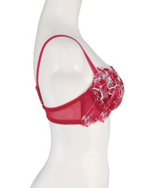 San-ai Resort（三愛水着楽園） 【エレガントコレクション2311】単品ブラEFGカップ  【northerly】 レッド