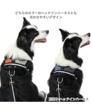 PET PARADISE 両面反射リード ブラック120㎝【Ｍ～Ｌ】 黒