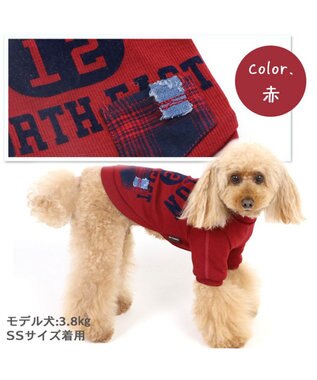 PET PARADISE 犬 服 Tシャツ 【小型犬】 プレミアム ペティーヒート カレッジ 赤 赤