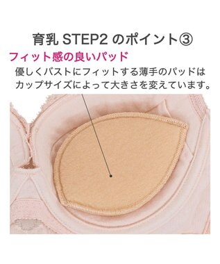BRADELIS New York 【BRADELIS New York/ 育乳ブラ・STEP2 寄せる】ベルステップ2ブラ24A2 補正ブラ 谷間を作るブラジャー CA124309 ピンク