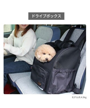 PET PARADISE ペットパラダイス 折畳み ハウスリュック 小型犬 ブラック