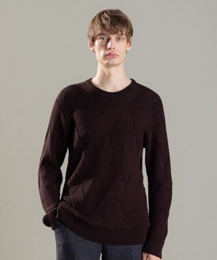 JOSEPH HOMME ビッグジオメトリージャガード　クルーネック ダークブラウン系