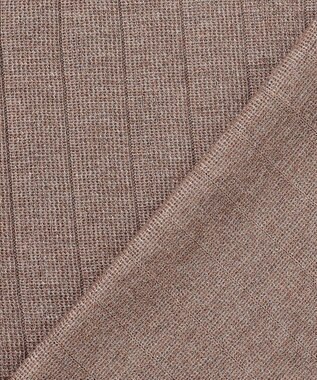 J.PRESS LADIES L 【WEB限定カラーあり・洗える】Vis/Peスパーク ストライプ ニット 【WEB限定カラー】モカ系