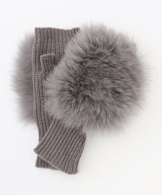  ALPO / フォックスファーグローブ