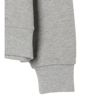 Green Parks ＴＯＹ　ＳＴＯＲＹ／フロッキー裏毛プルオーバーII Gray Mixture