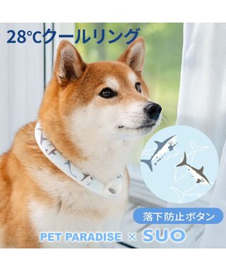 PET PARADISE ペットパラダイス ２８℃ クールリング Ｌ 《サメ柄》