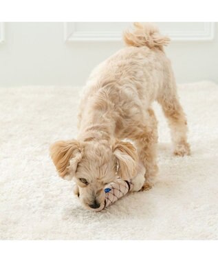 PET PARADISE ディズニー バンビ ミスバニー ダンベル トイ ベージュ