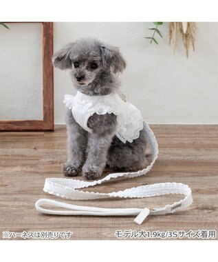 PET PARADISE ペットパラダイス レースフリル リード ＳＳ～Ｓ ホワイト