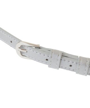 Green Parks ｅｖｅｒｙ　ｗａｌｋ．ウォレットベルト Silver