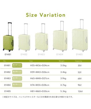ACE BAGS & LUGGAGE Proteca コーリー2  35L 機内持ち込み 01481 プロテカ 日本製 ライムグリーン