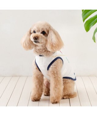 PET PARADISE リサとガスパール ポケットクール タンクトップ 《マリン柄》 小型犬 ホワイト×ネイビー