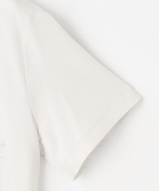 J.PRESS LADIES 【洗える】スパンコール Ｔシャツ グレージュ系