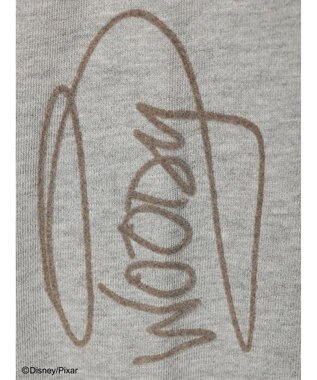 Green Parks ＴＯＹ　ＳＴＯＲＹ／フロッキー裏毛プルオーバーII Gray Mixture